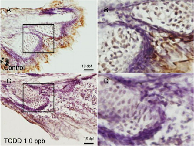 FIG. 7.