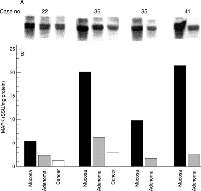 Figure 4  