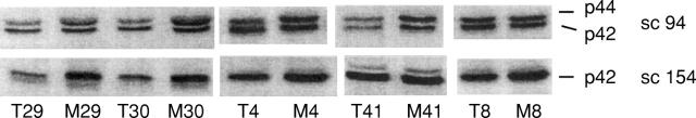 Figure 2  