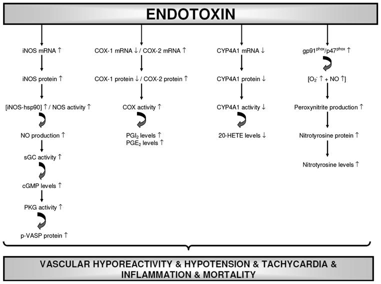 Fig. 21