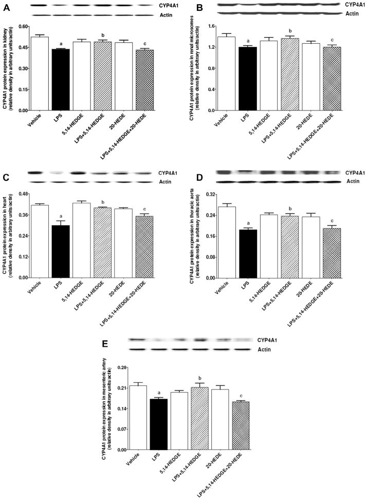 Fig. 15