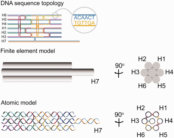 Figure 2.