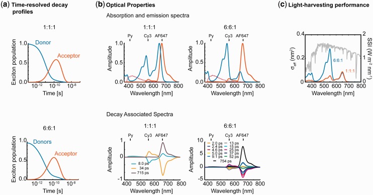 Figure 6.