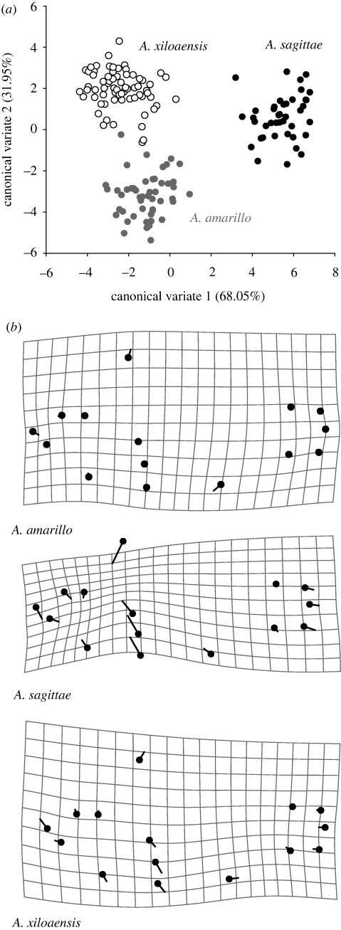 Figure 7.