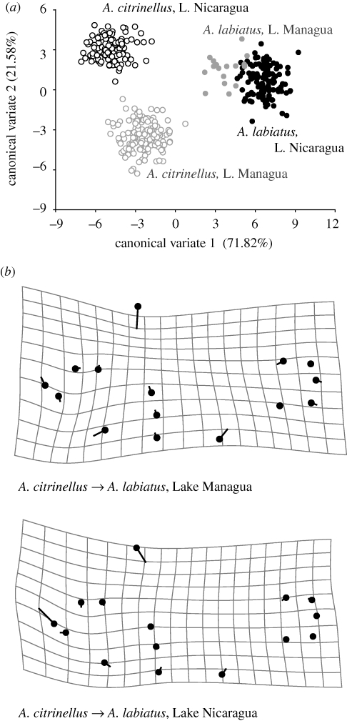 Figure 5.