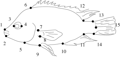 Figure 2.