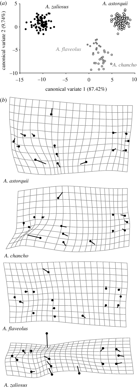 Figure 6.