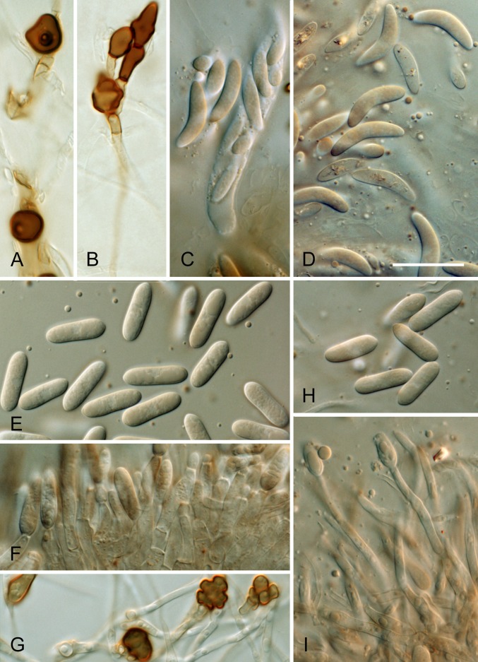 Fig. 13.