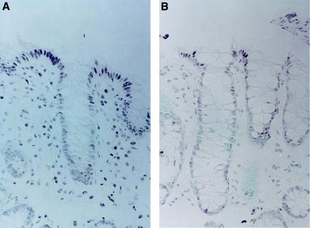 Figure 1  