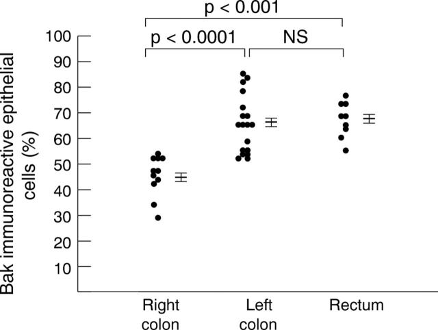 Figure 4  