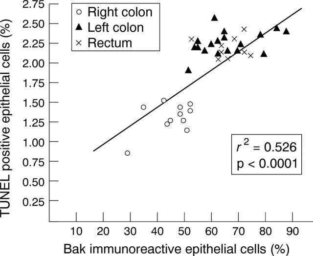 Figure 5  