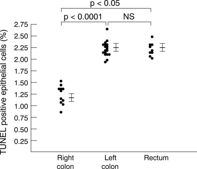 Figure 2  