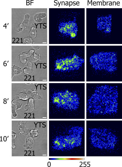 Figure 6.