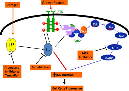 graphic file with name nihms459642f1.jpg