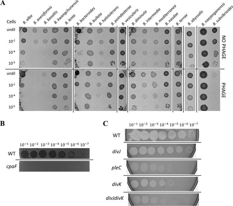 FIG 2