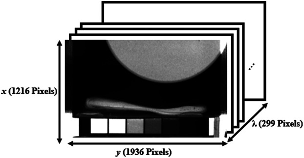 Fig. 2