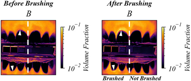 Fig. 9