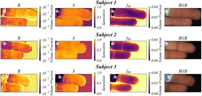 Fig. 8