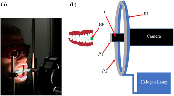 Fig. 1