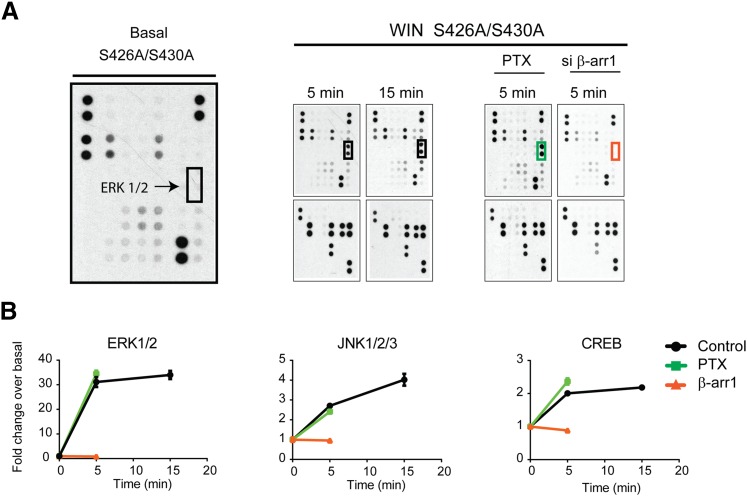 Fig. 4.