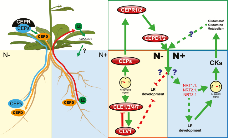 Fig. 2.