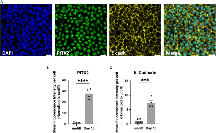 Figure 6