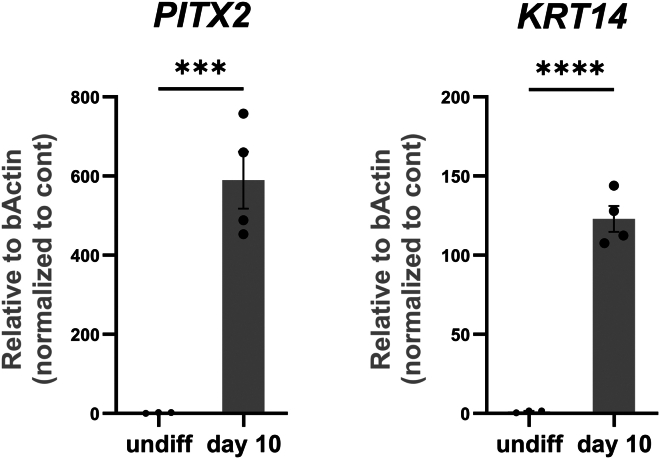 Figure 5