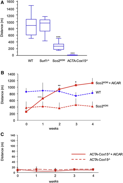 Figure 7