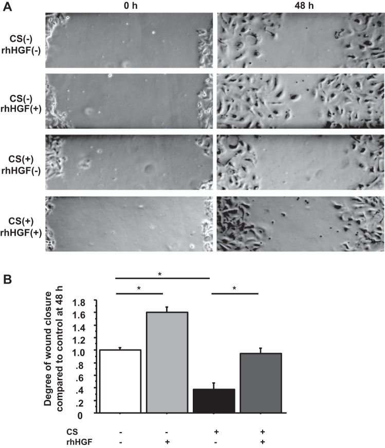 Fig. 7.