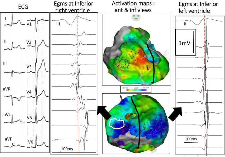 Figure 3