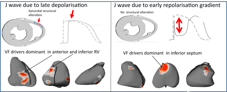 Figure 6