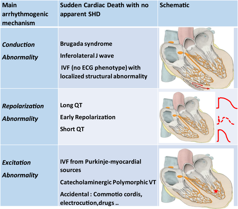 Figure 7