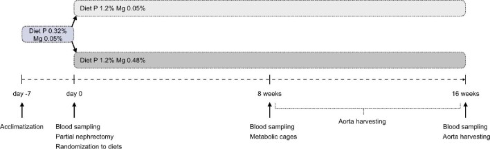 FIGURE 1: