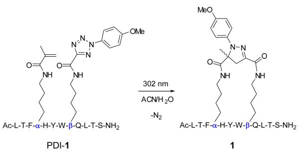 Scheme 1