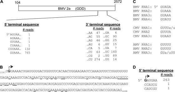 Fig 8