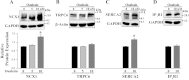 Fig. 8.