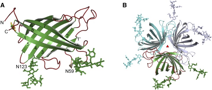 Figure 1.