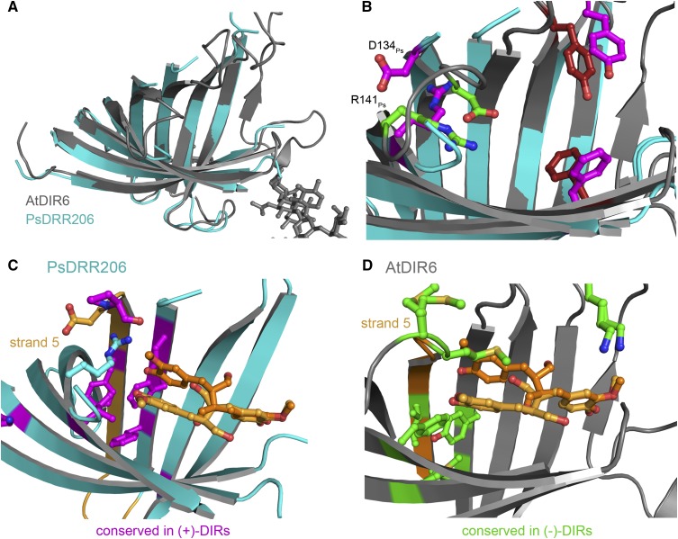 Figure 6.