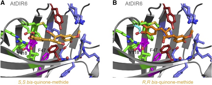 Figure 5.