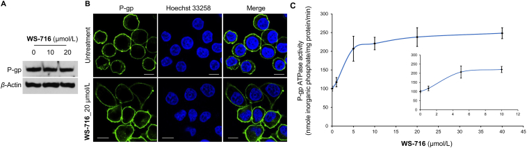 Figure 3