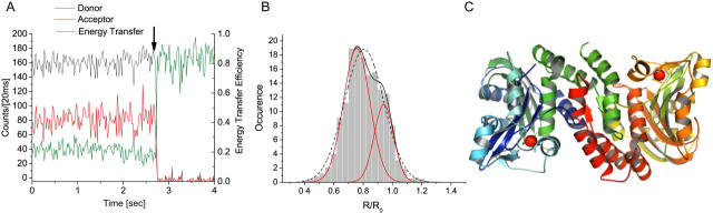 FIGURE 3