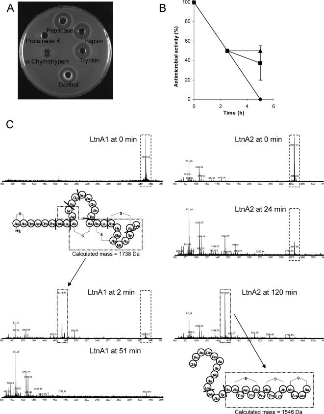 FIG. 1.