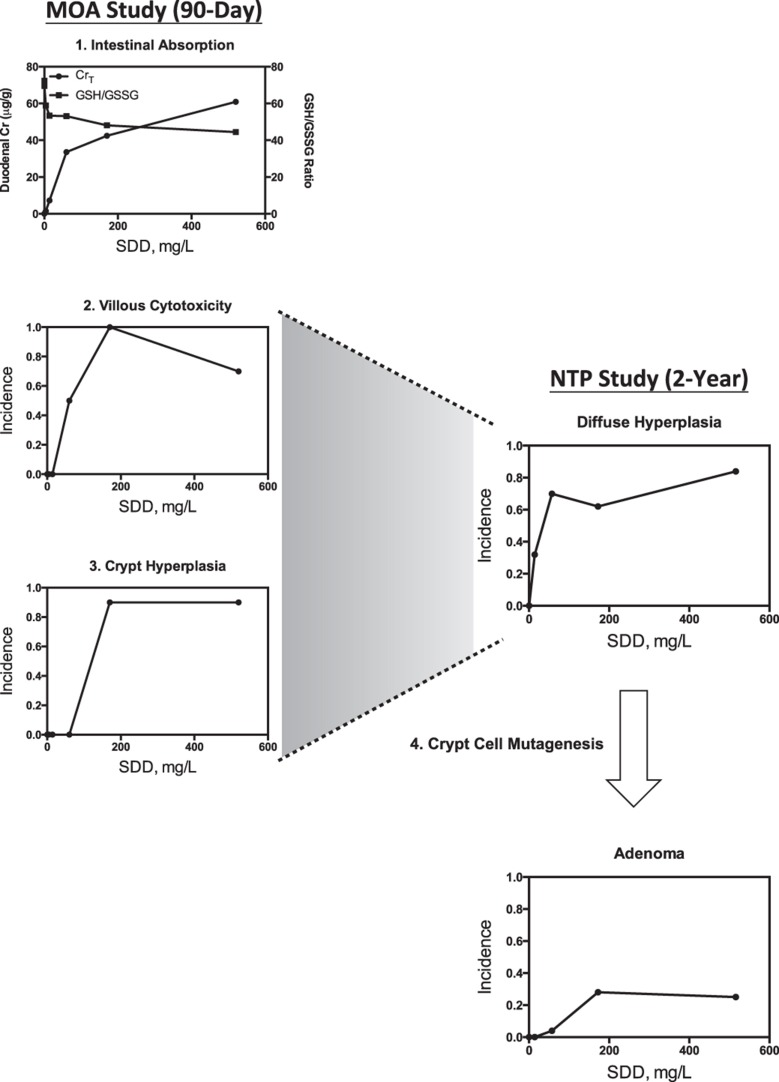 Figure 10.