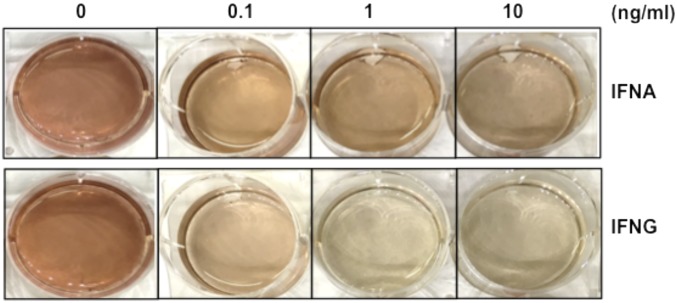 Fig. S3.