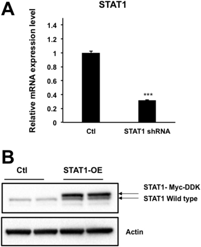 Fig. S4.