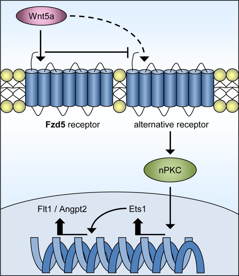 Fig. 8