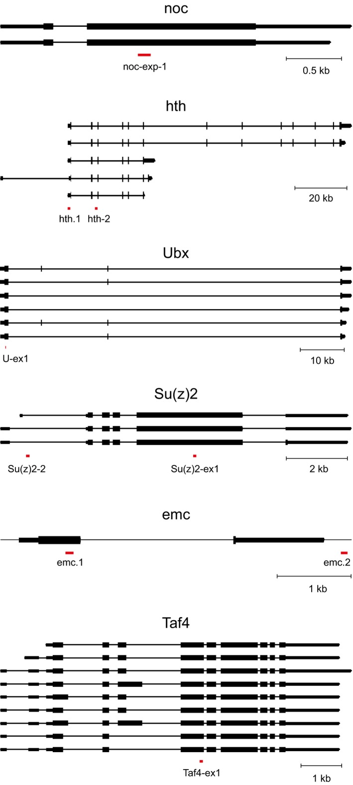 Figure EV3