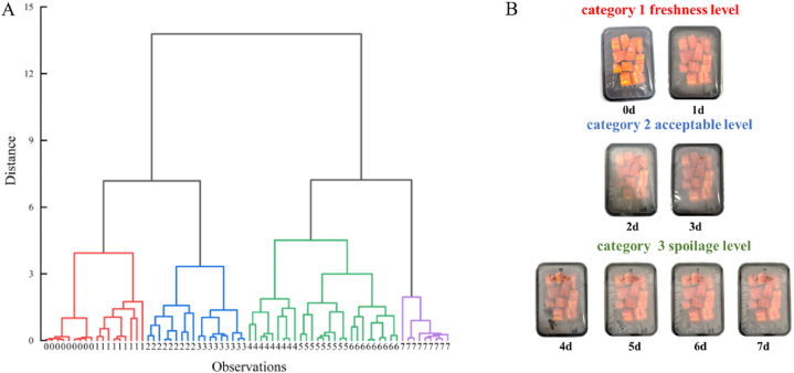 Fig. 3