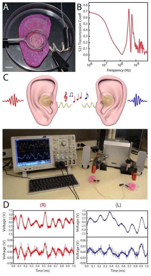 Figure 4