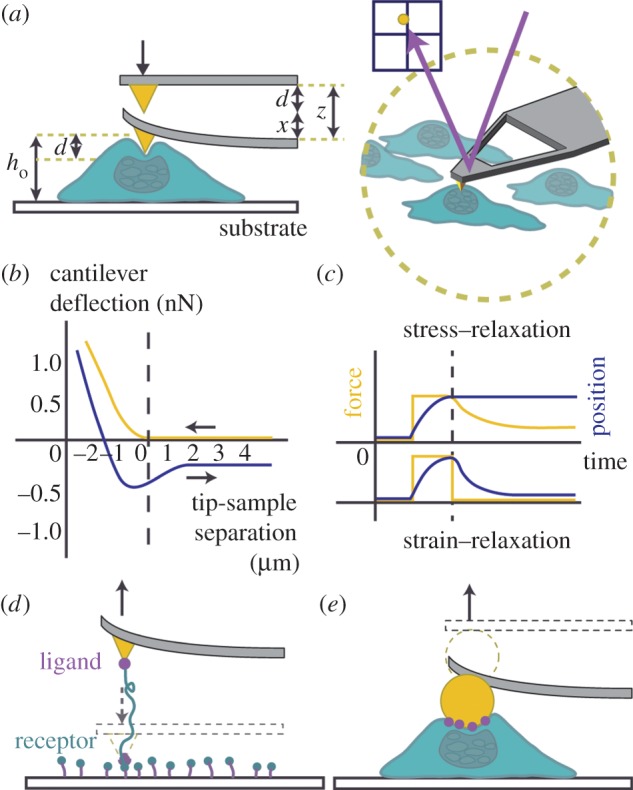 Figure 3.